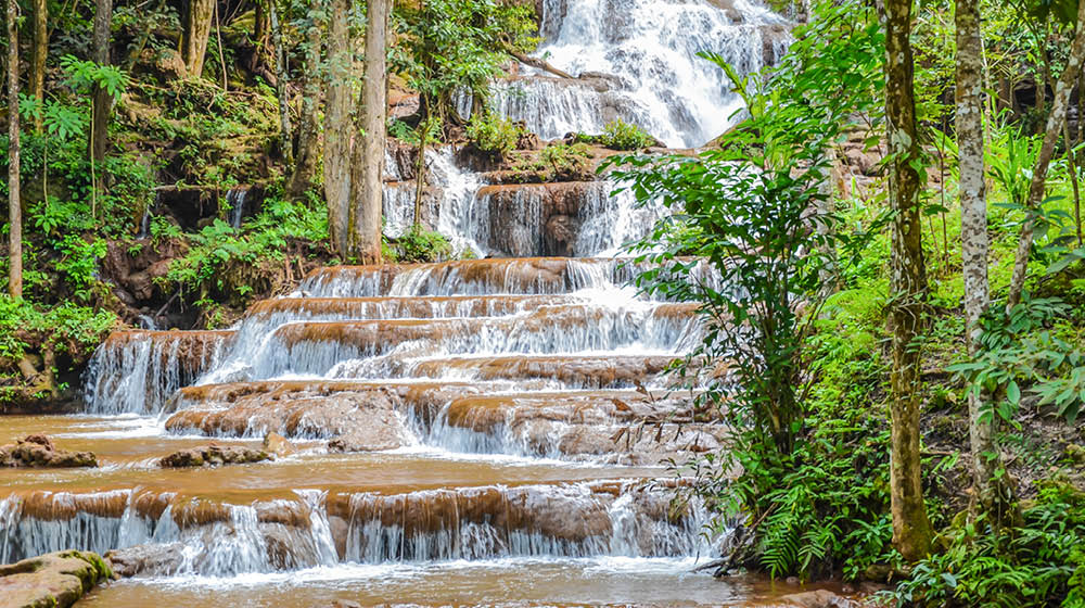 Tropical waterfall in forest
