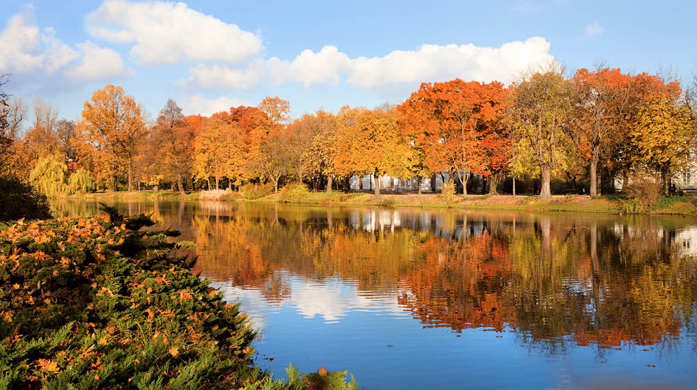 Idyllic scenery with lake and autumn trees in Lazienki Royal Park, city of Warsaw, Poland