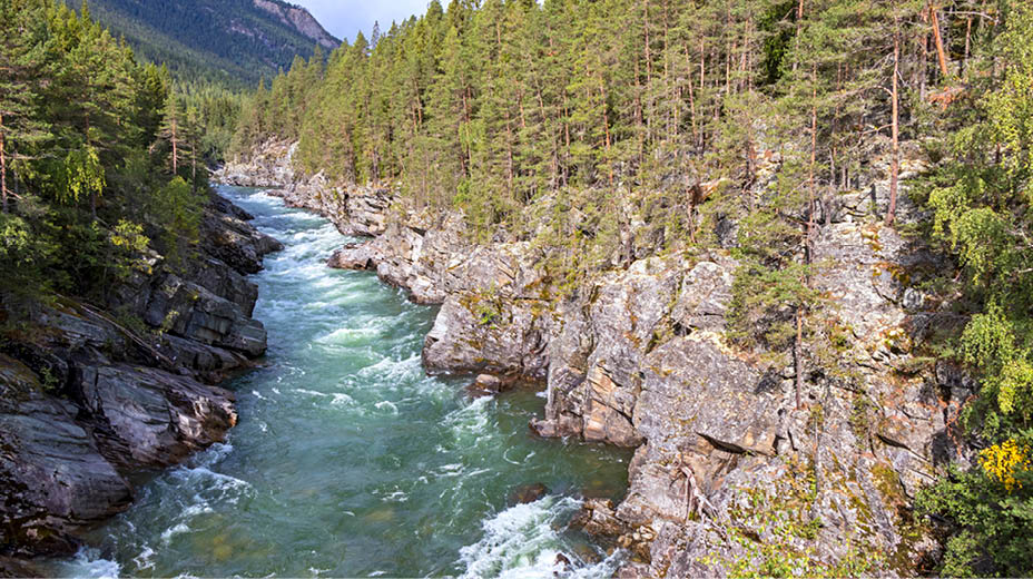 Small and wild river in the Gudbrandsdalen, Norway