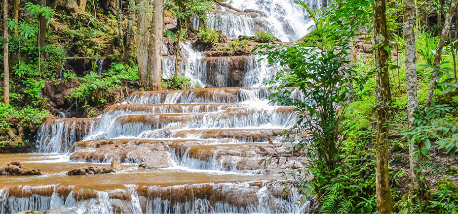 Tropical waterfall in forest