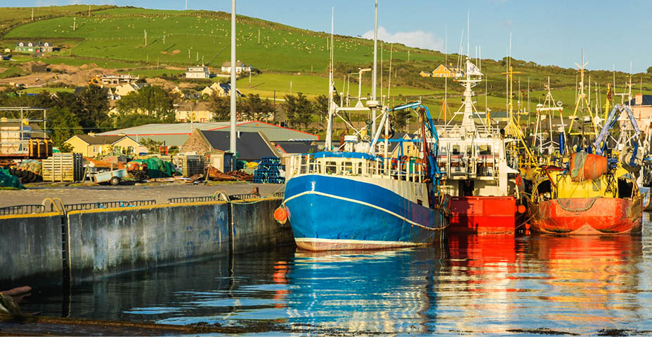 Blue and red commercial fishing boats are docked in the harbor in Dingle, Ireland.